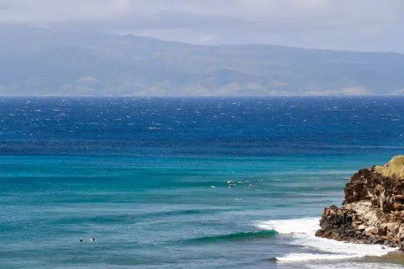 カッス カジノ サポート